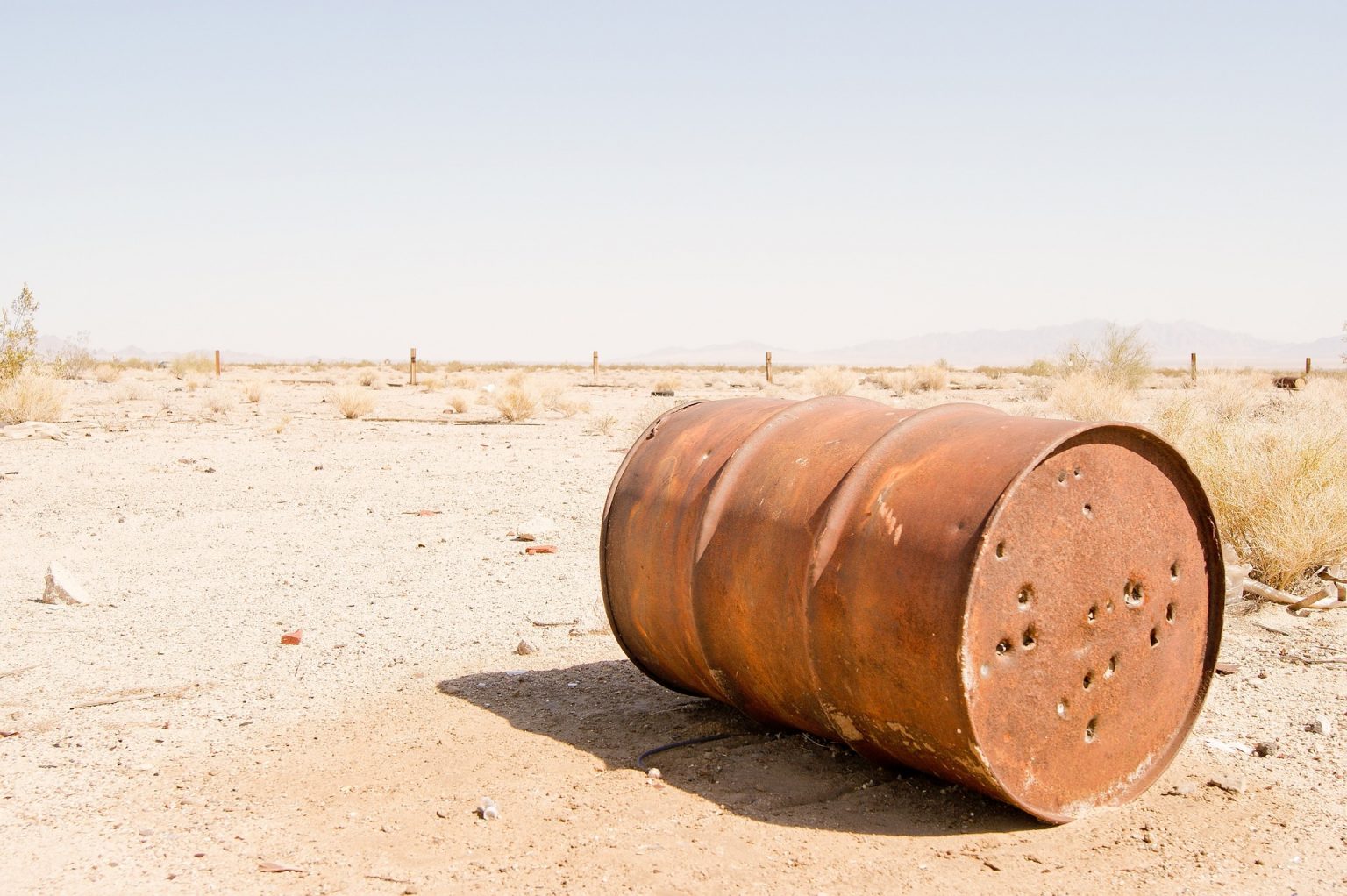 Neat Free Riddle Has 1000 holes but holds lots of water?