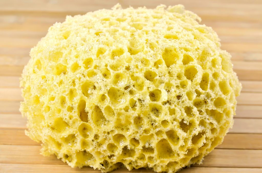 This Riddle is about a sponge! So is this image!